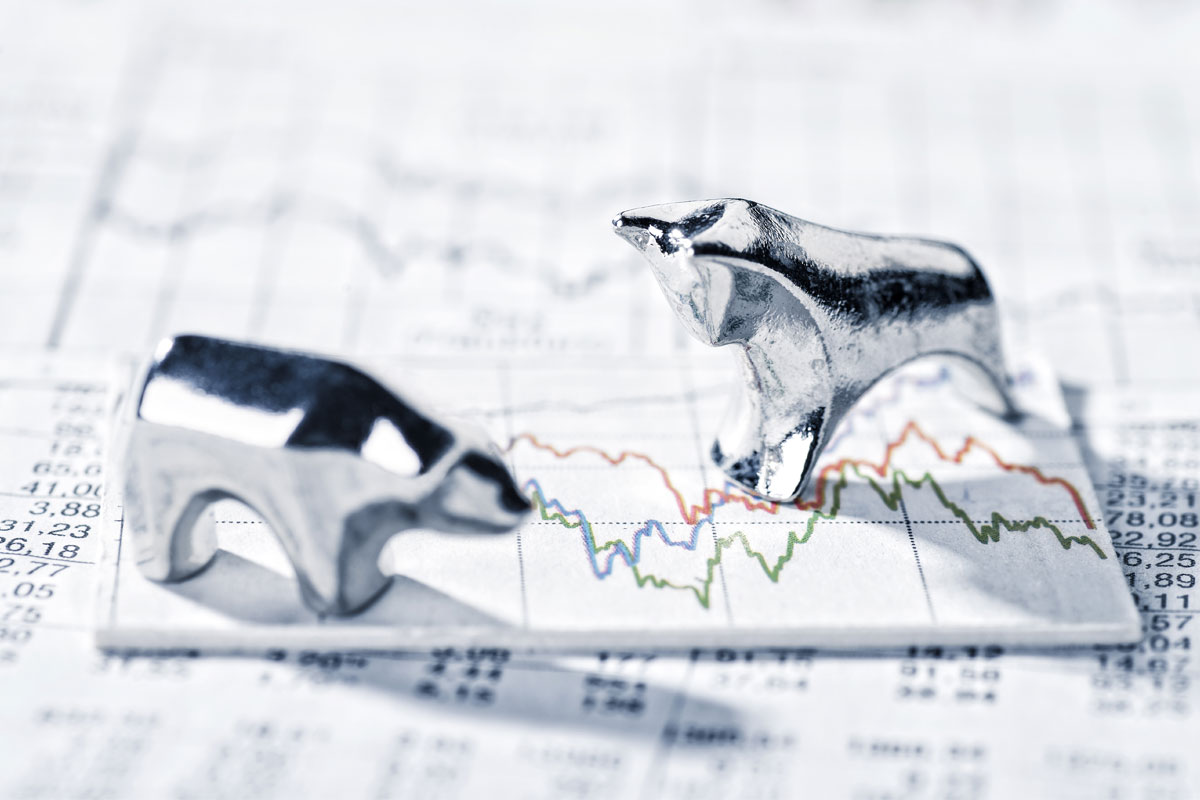 appreciated-securities-donation bull and bear stock donation