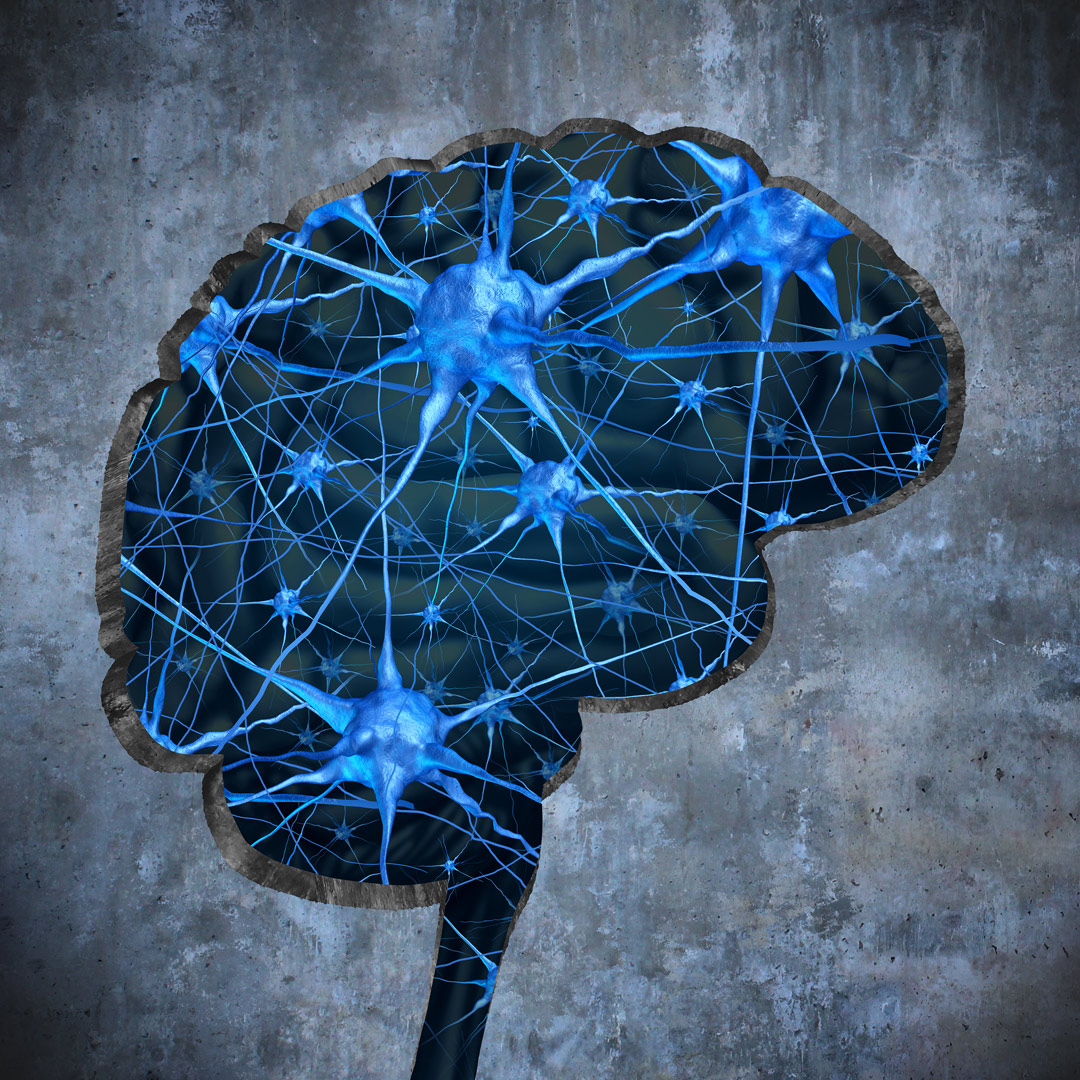 illustration of silhouette of brain with neurons inside