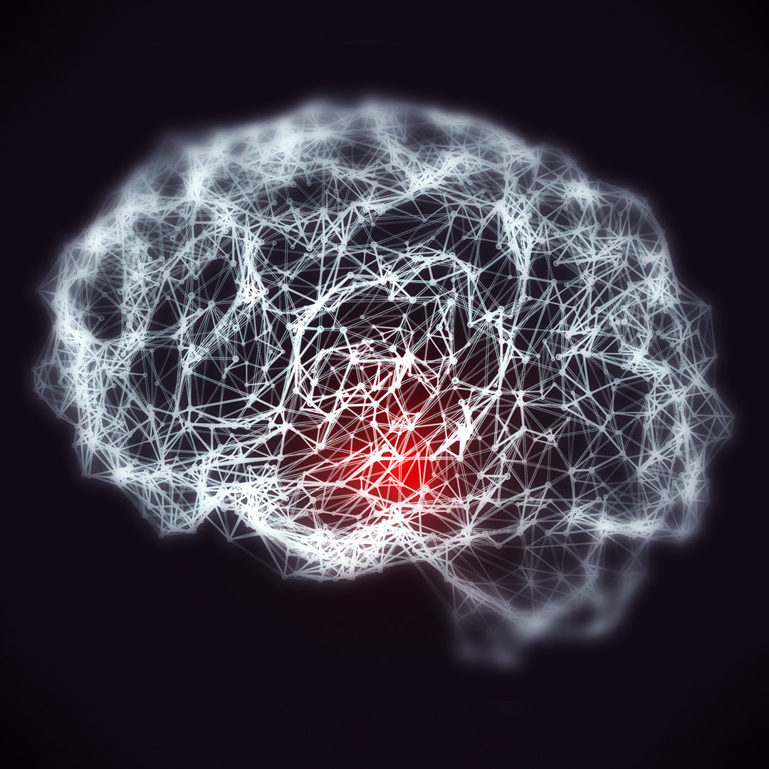 digital image of brain