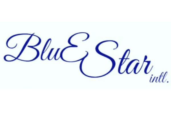 Blue Star International logo