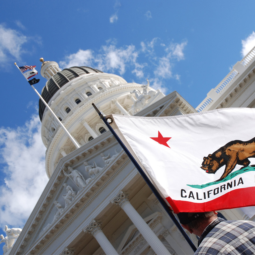 person holding California flag in front of state capitol