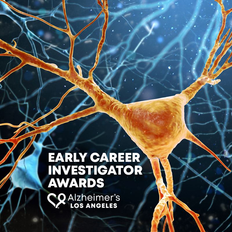 Early Career Investigator Awards