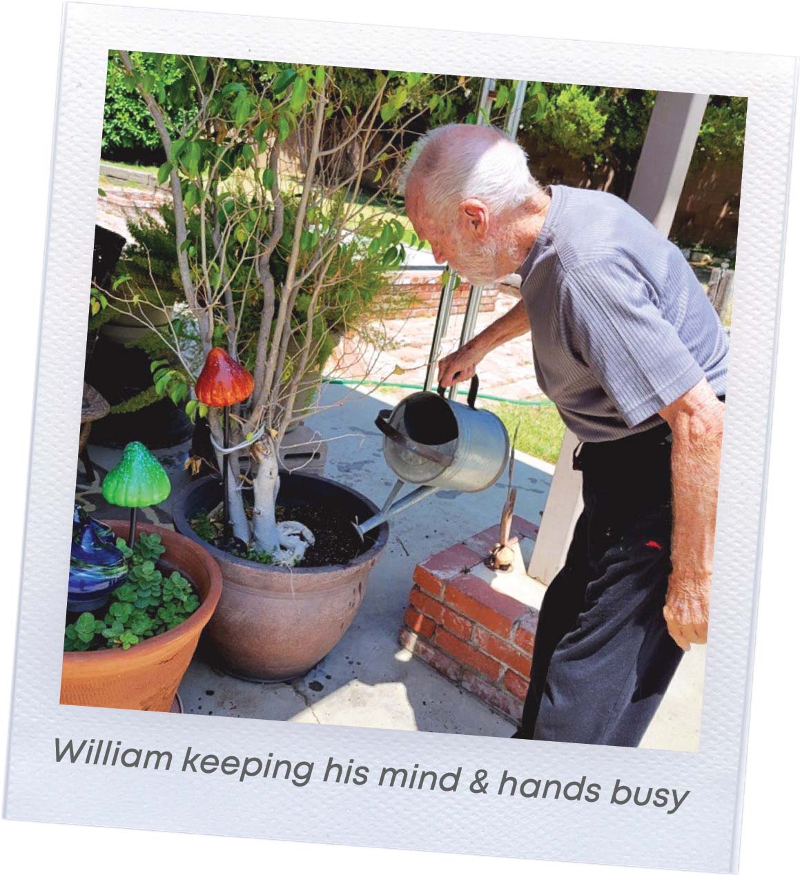 William watering his potted plants