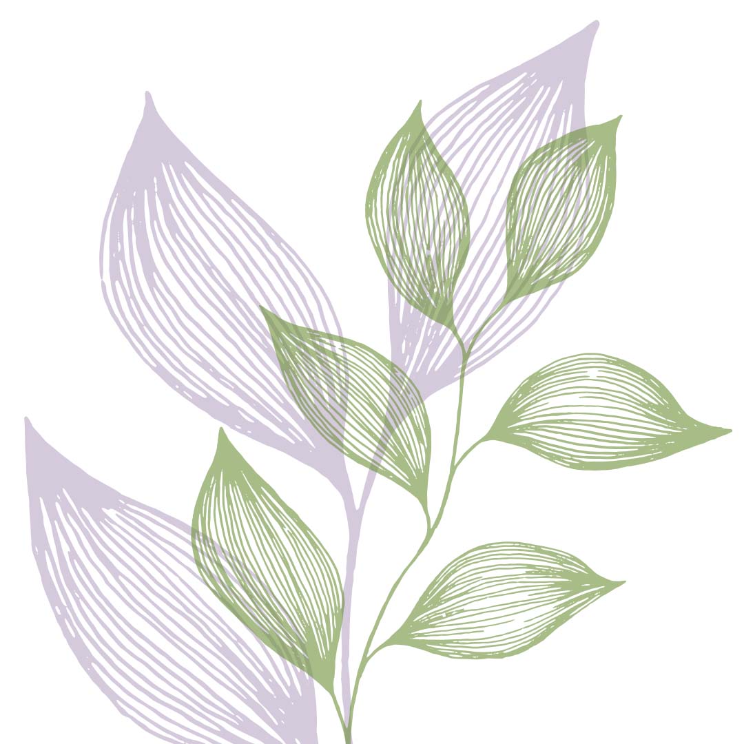 line illustration of leaves