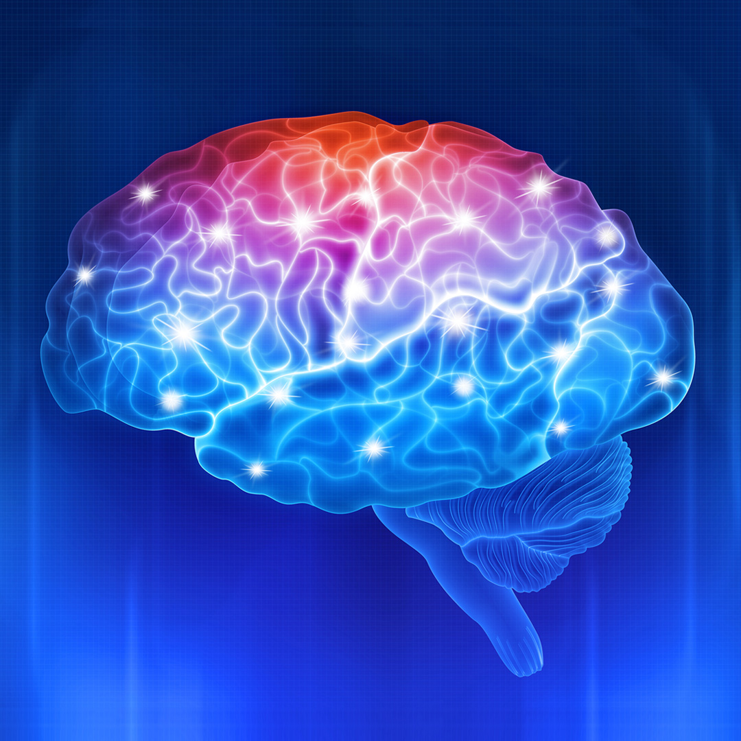 brain-research