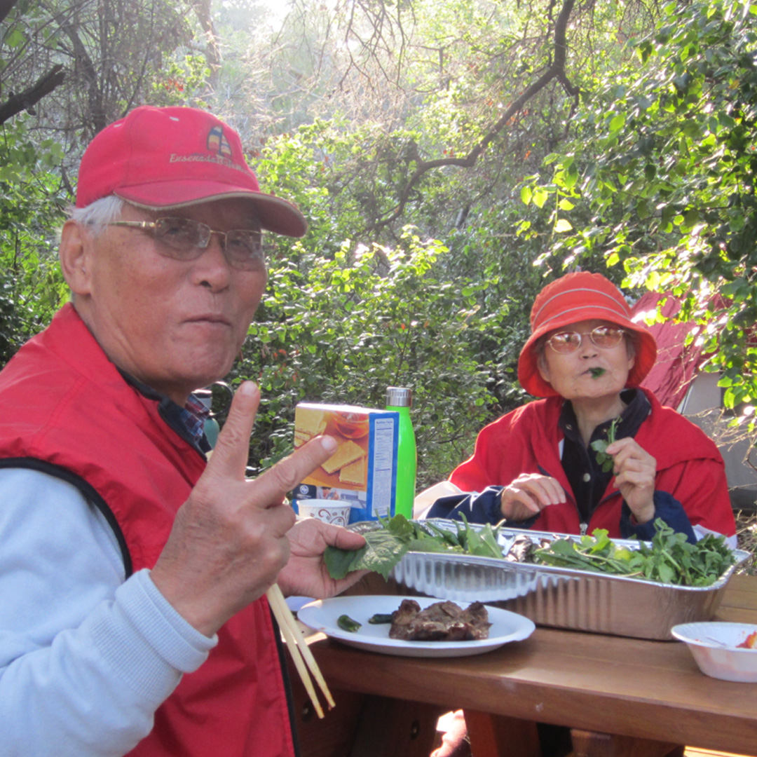 Wendys mother and father having a picnic