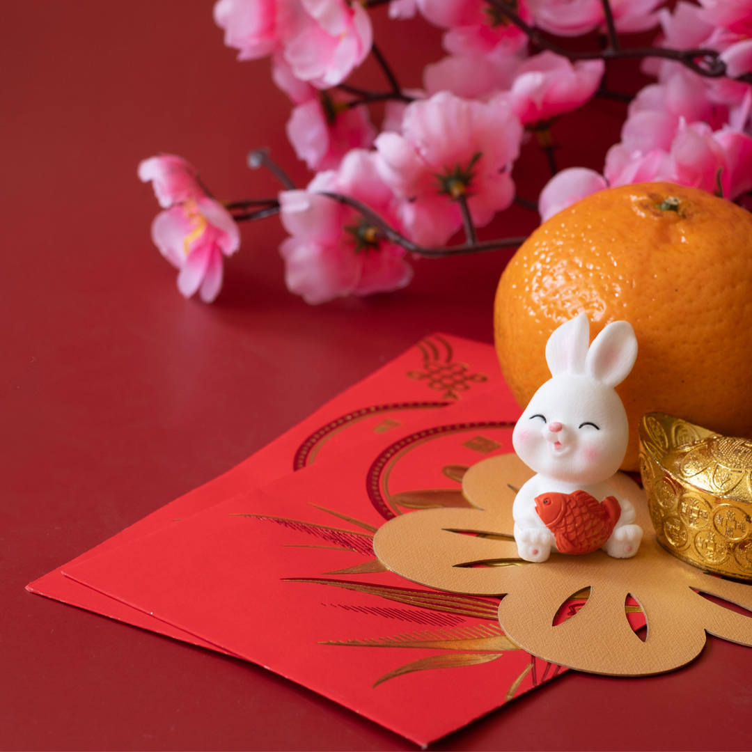 Laruce Lunar New Year 2023 Year of the Rabbit Envelopes – LARUCE